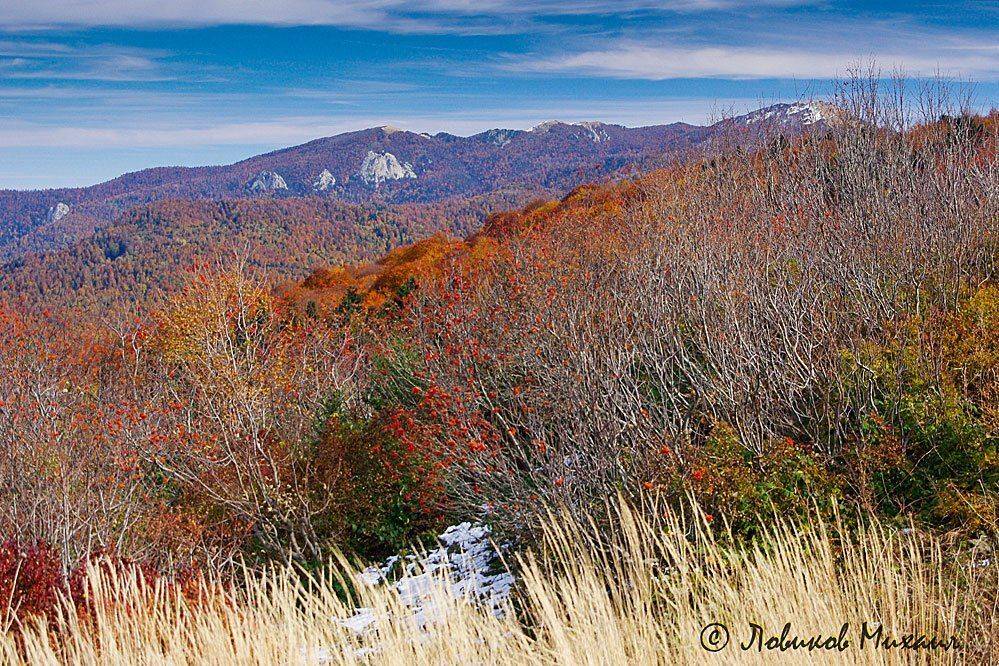 , Ловиков Михаил