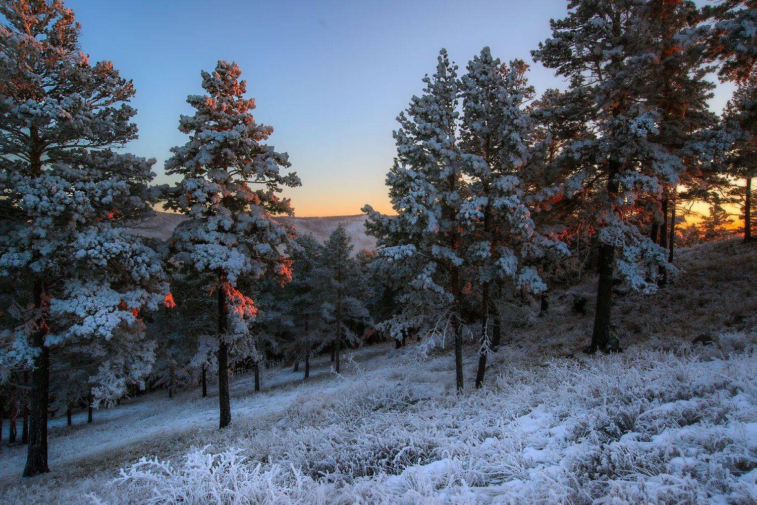 , Сергей Брагин