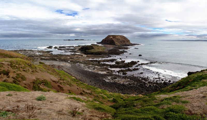 Тропа пингвинов фото превью