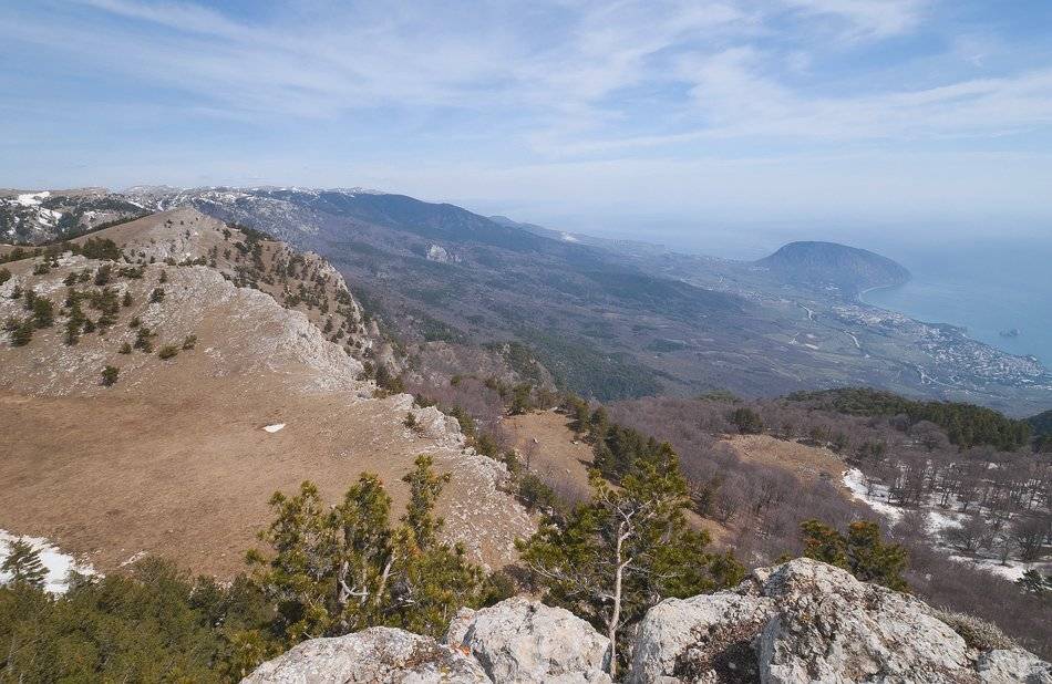 Авунда, Аю-Даг, Никитское плато., Саша  Вайсберг / Waldschnepfe /