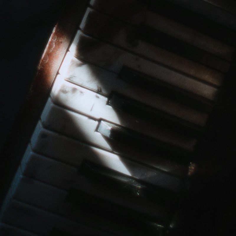 портрет שּםה фото превью