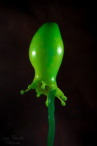 Морской огурец