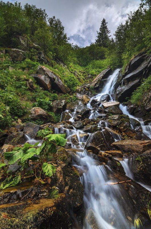 горы,карпаты,водопад,смотрич,лопухи,камни Мгновенье у Смотрича фото превью