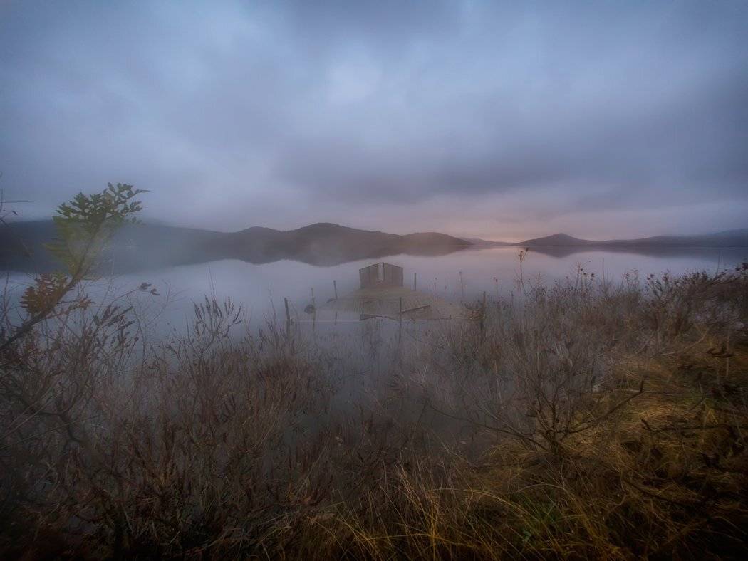 , Dimitar Stoyanov