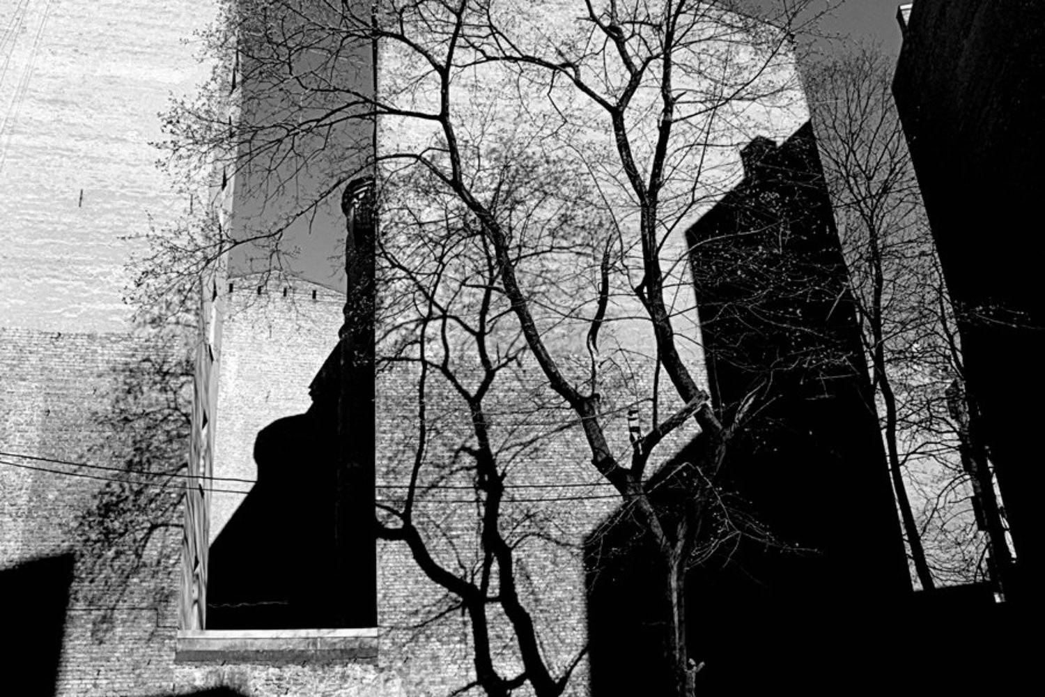 город, тени, дома, BLUZ