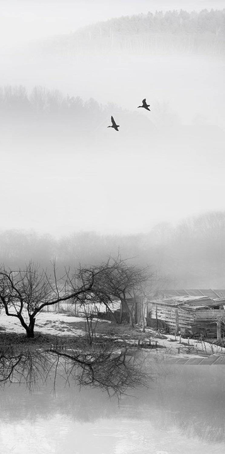 , Анна Кудрявцева