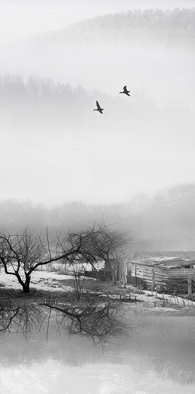 Суми-э фото превью