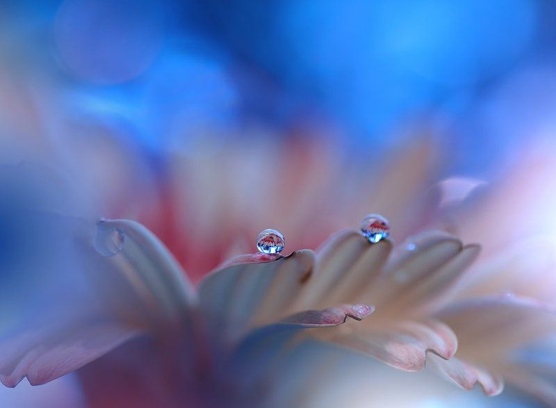 Hope... фото превью