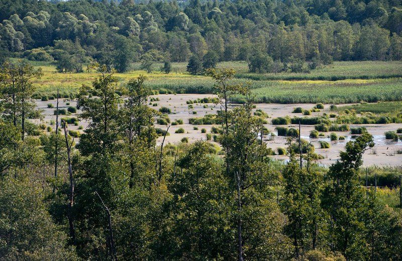 московская область, смоленская провинция, пейзажи московской области, фотоальбом \\ Pro Смоленскую провинцию Московской области фото превью