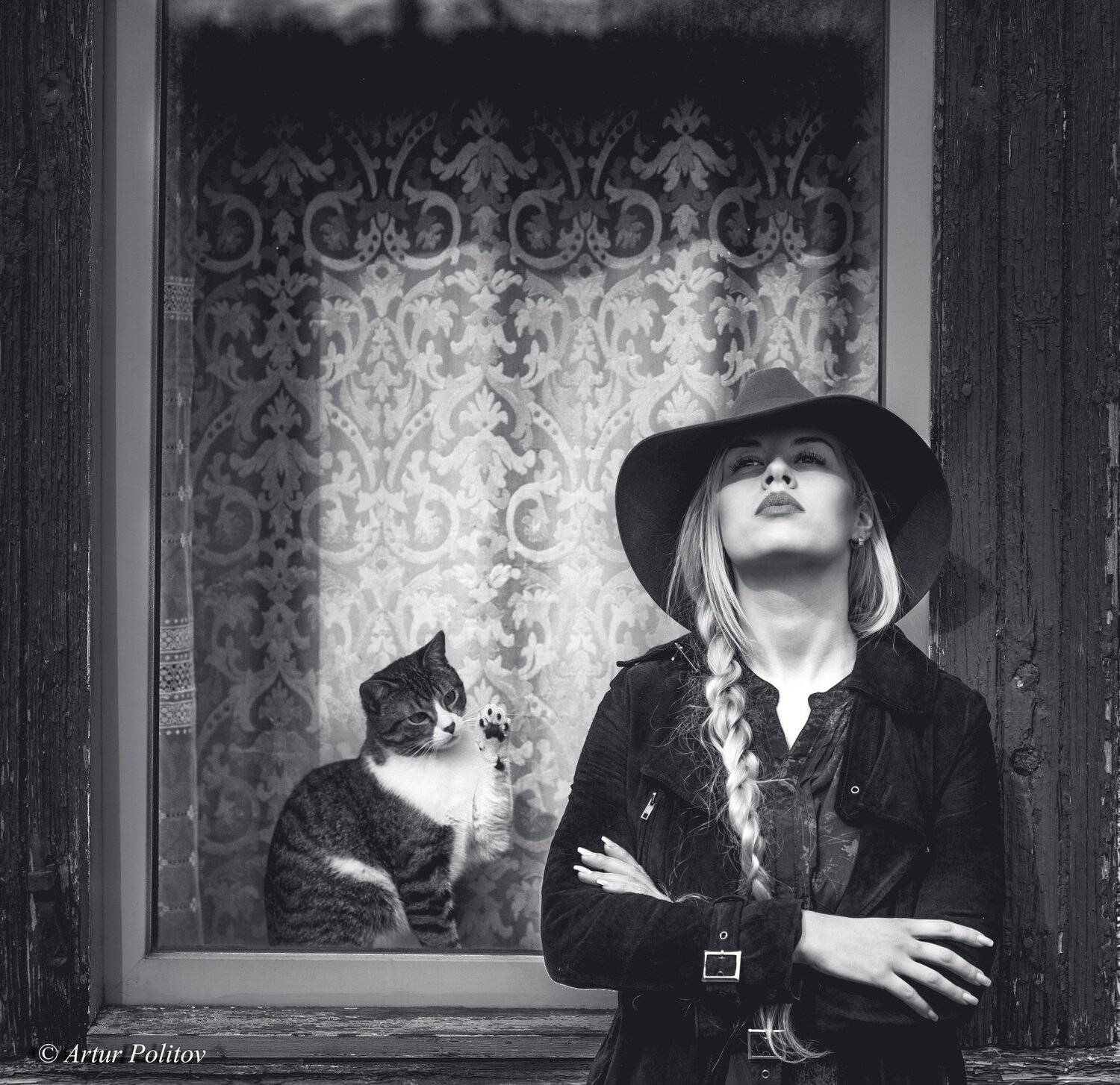 Kitty. Автор: Artur Politov , Artur Politov