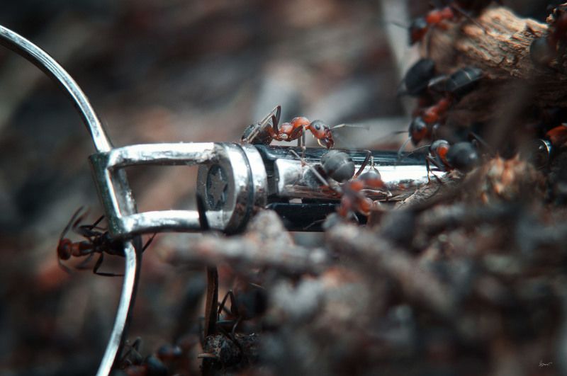 движуха в большом городе фото превью