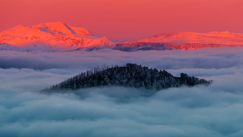 ГРЕБЕНЬ \