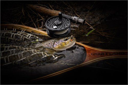 О весенней охоте на речного леопарда ....