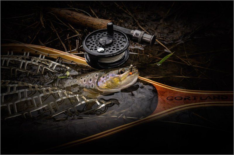 Flyfishing, Trout, Нахлыст, Река, Ручей, Рыбалка, Форель О весенней охоте на речного леопарда .... фото превью