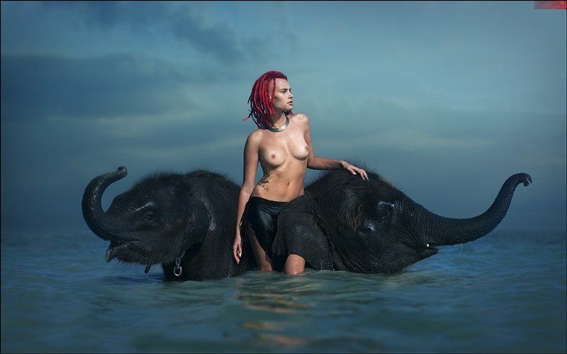 lucas, lucastudio, nude BONE ELEPHANT фото превью