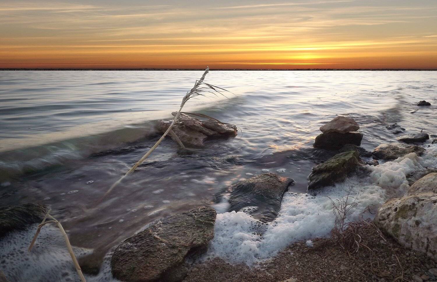 одесса, Сергей Кошелев