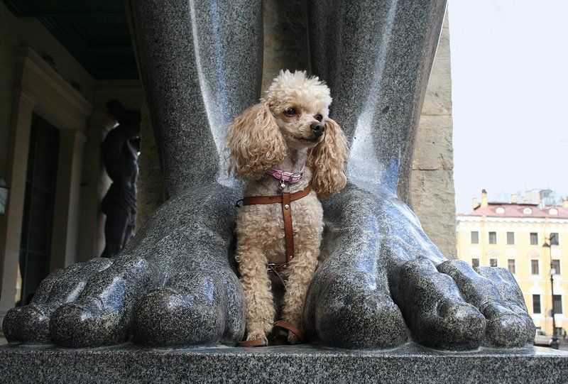 атланты И жить ещё надежде… фото превью