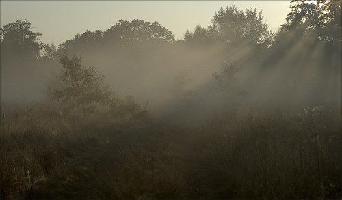 Одним осенним утром...