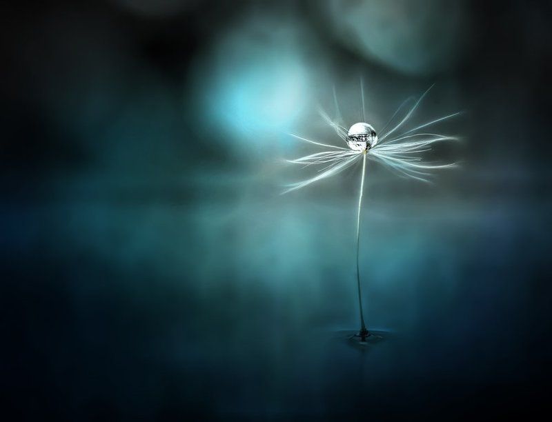 In boundlessness фото превью