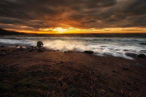 Catching the light