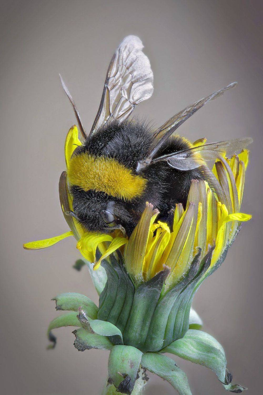 , Вадим Ходаковский