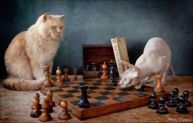 - А конь где? фото превью