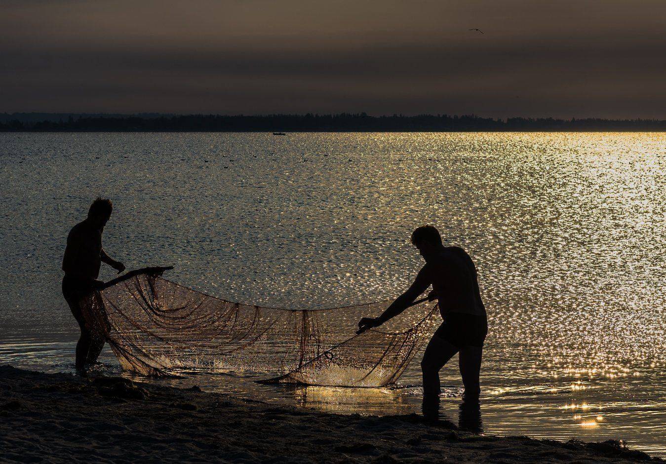 , Игорь Мелекесцев