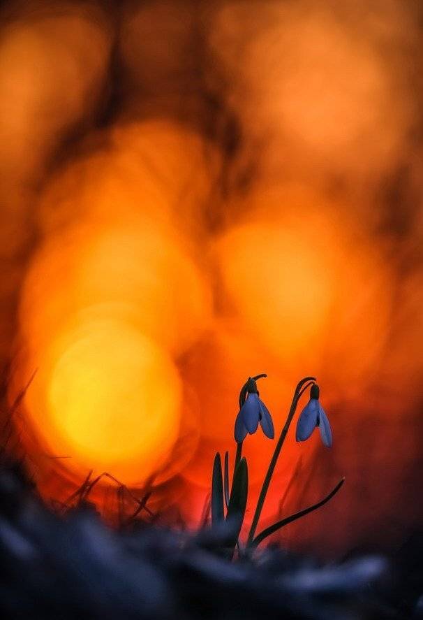 , Вячеслав Мищенко