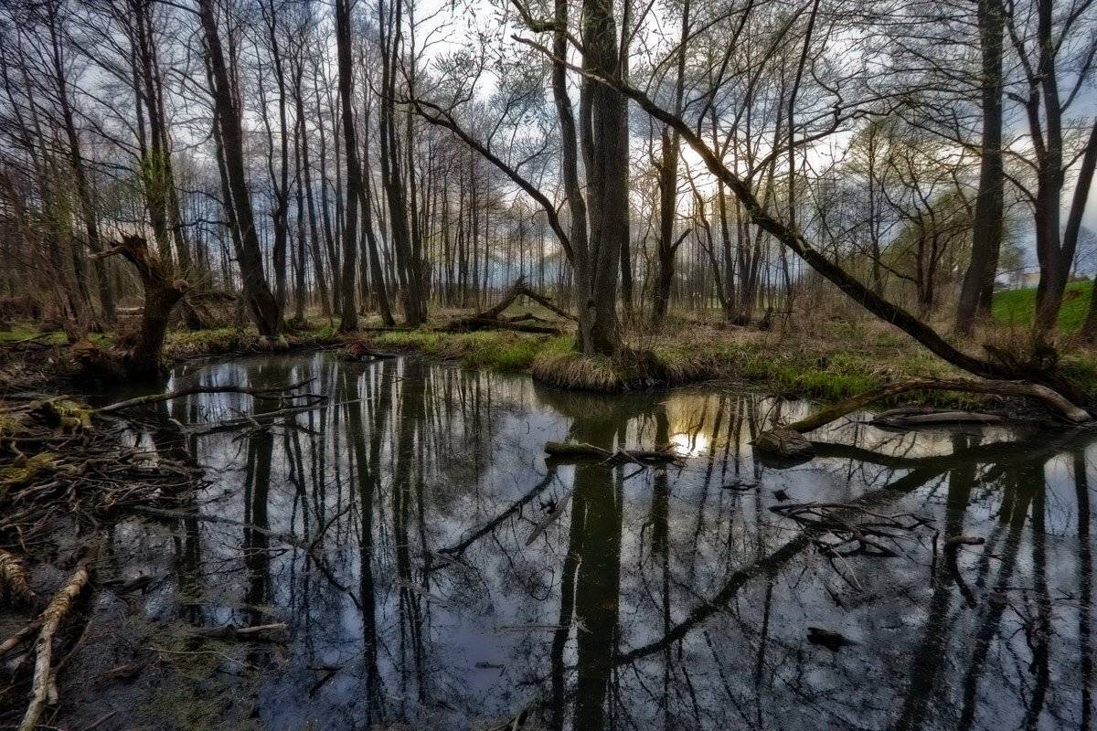 , Валерий Кондратов