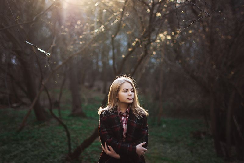 Magic in forest фото превью