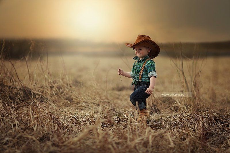 На закате. фото превью