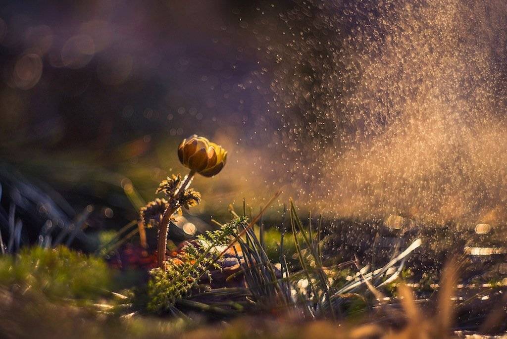 , Екатерина Науменко