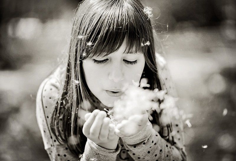 Spring фото превью