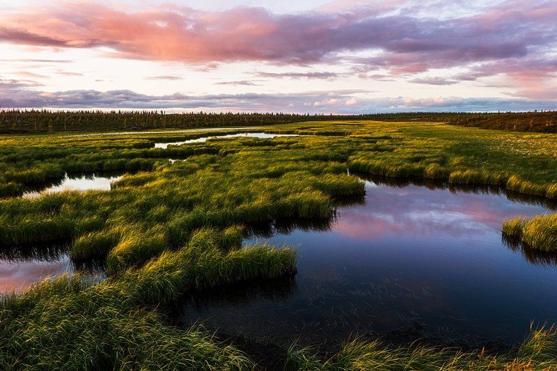 Закат на болоте фото превью