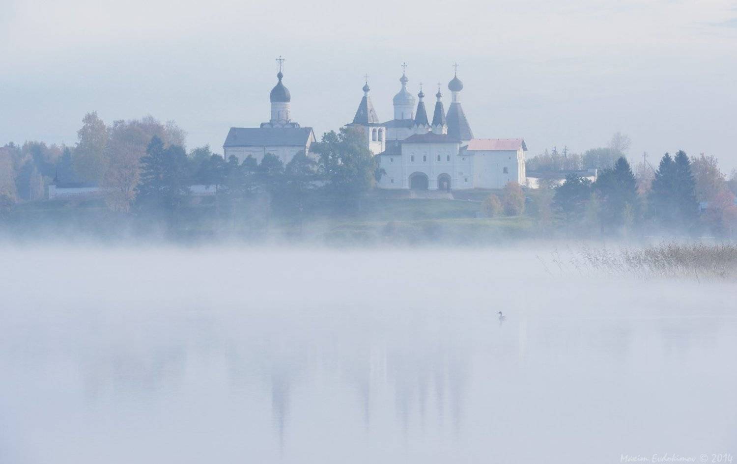 , Максим Евдокимов