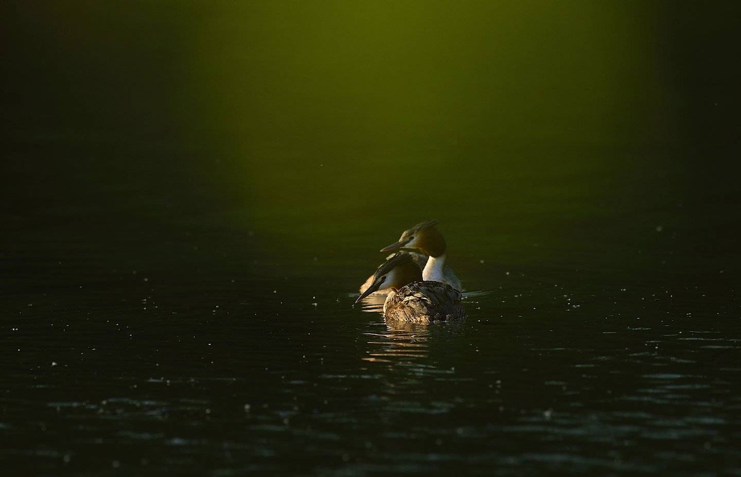 Ощущения, KIM SUK EUN