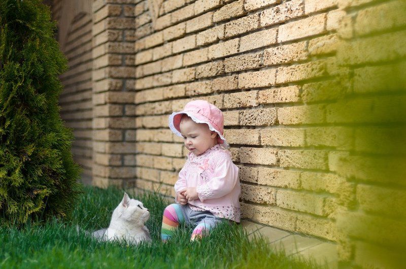 дети, ребенок, кот, трава, cat, green, kids, child Friends фото превью