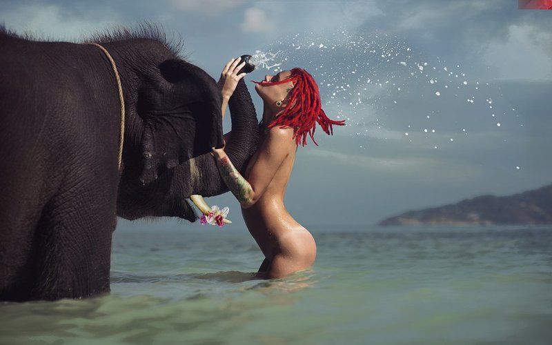 lucas, lucastudio BONE ELEPHANT фото превью