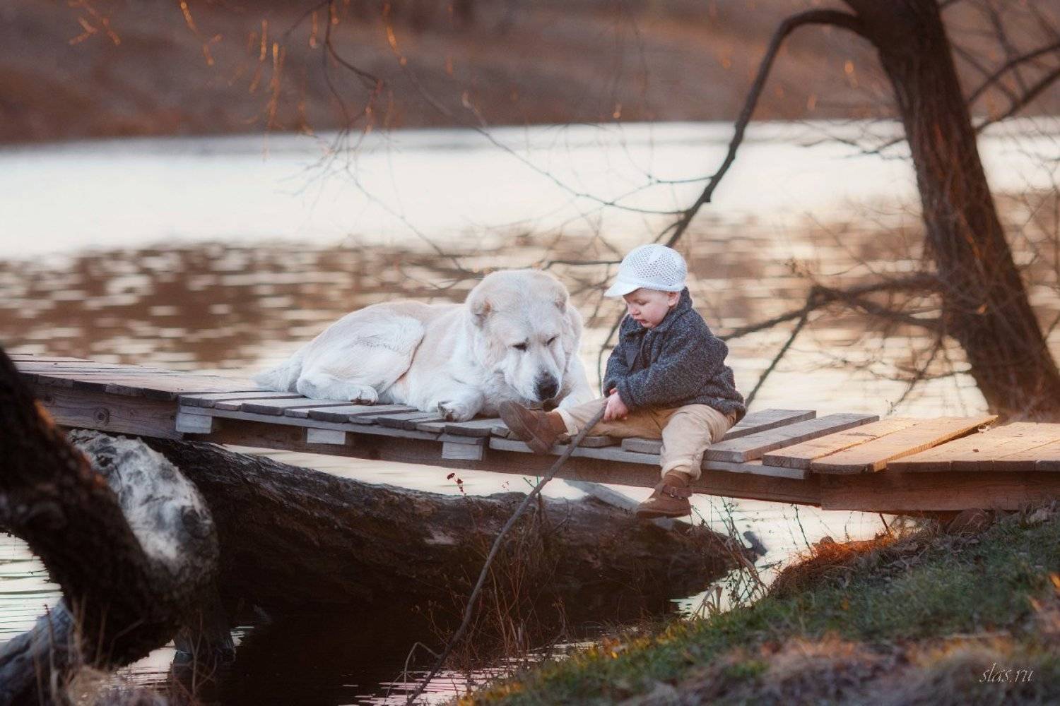 , Андриянкина Светлана