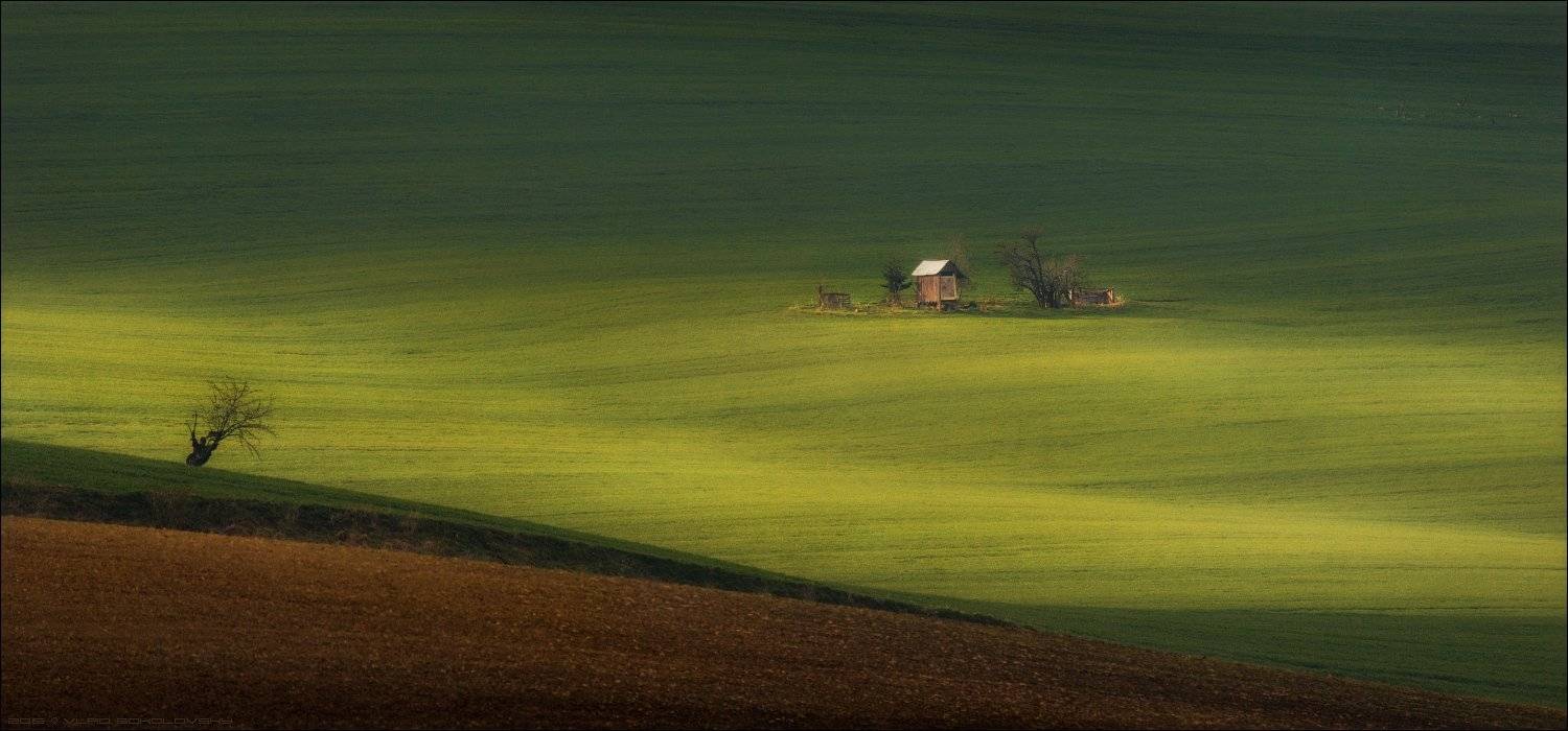 Czech, Morava, Moravian, South Moravia, Весна, Свет, Солярис, Чехия, Южная Моравия, Влад Соколовский