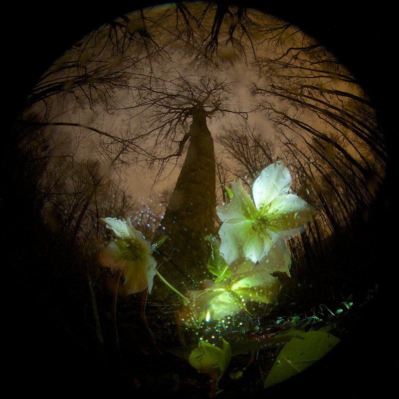 Весенний дождь фото превью