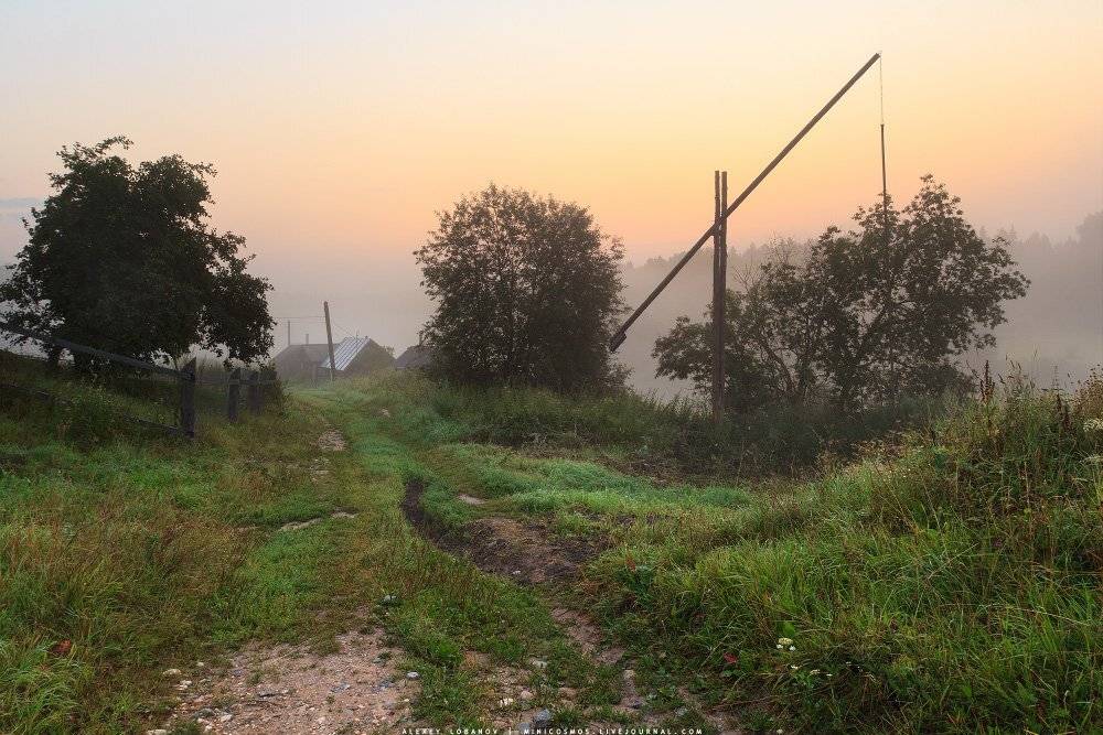 , Алексей Лобанов