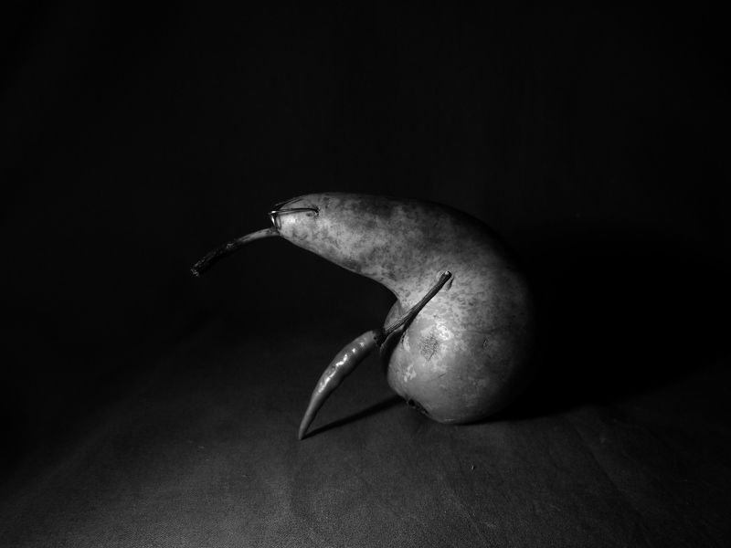 One hundred years of solitude фото превью