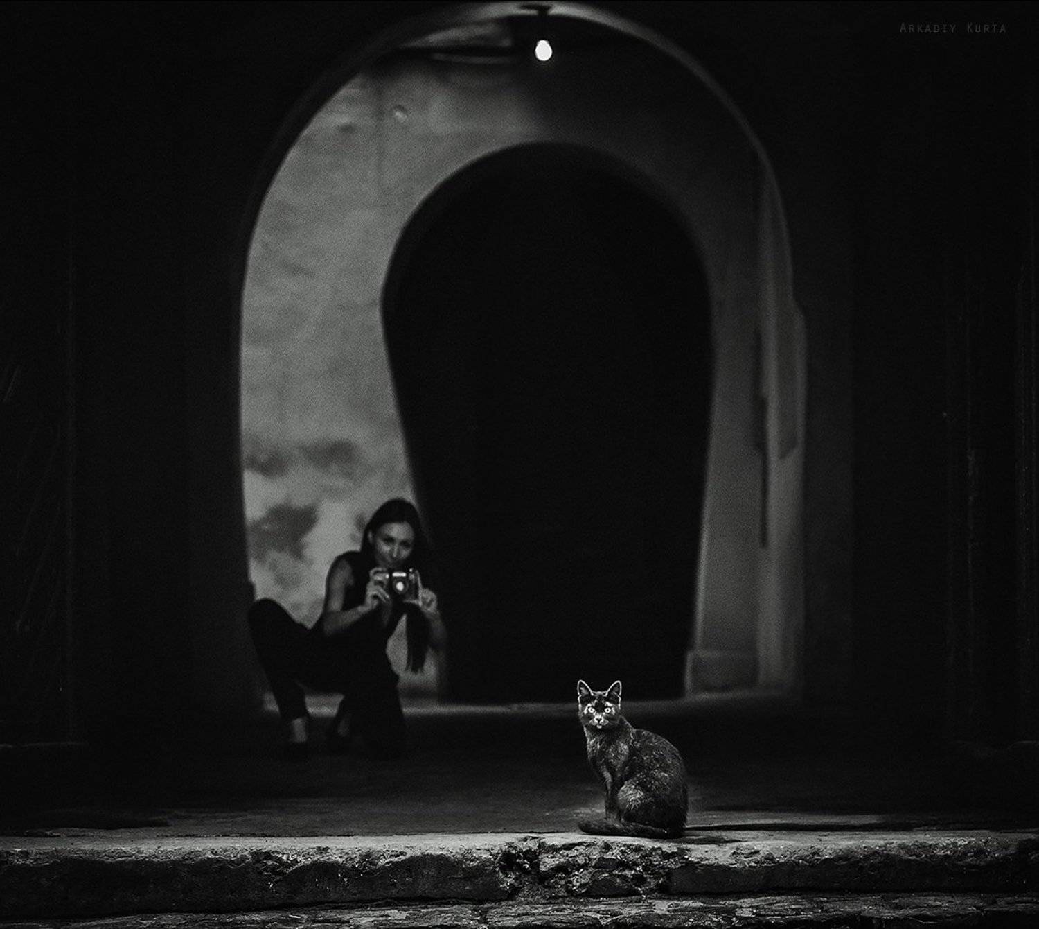 Аркадий курта, Арт, Город, Жанр, Кошки, Львов, Стрит фото, Аркадий Курта