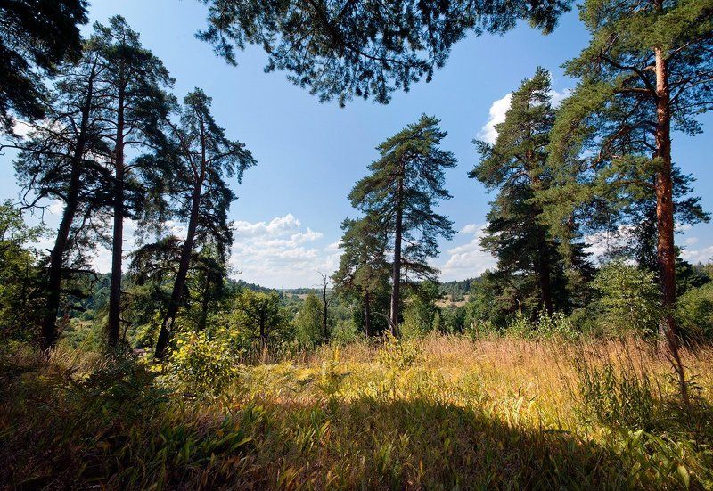 московская область, московская провинция, пейзажи московской области, фотоальбом \\ Pro Московскую провинцию Московской области фото превью