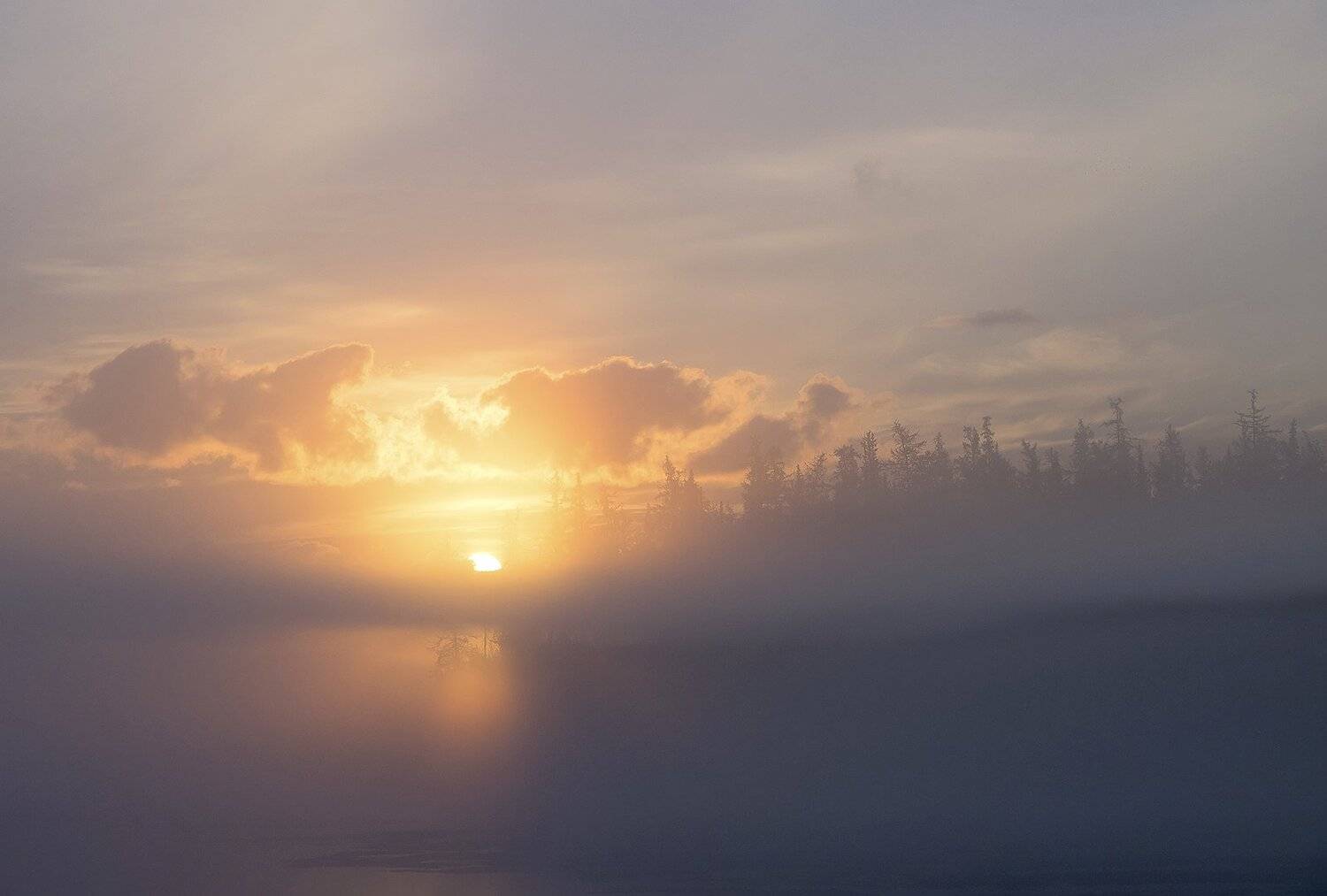 , Лещёнок Александр