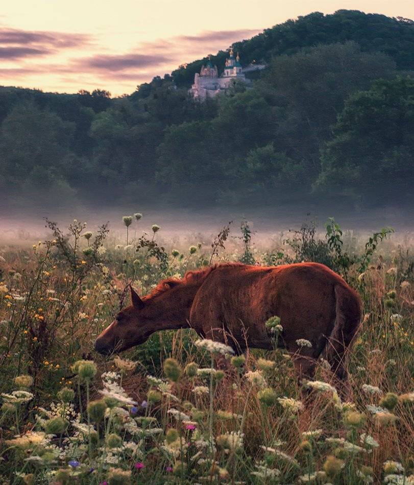 , Игорь Мелекесцев