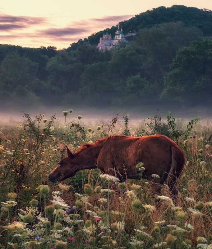 Flood of Tears фото превью