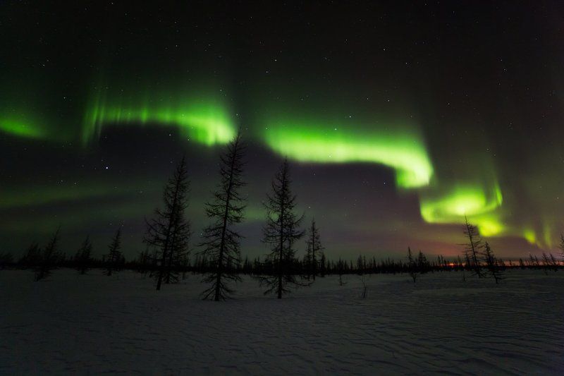 Змейка фото превью