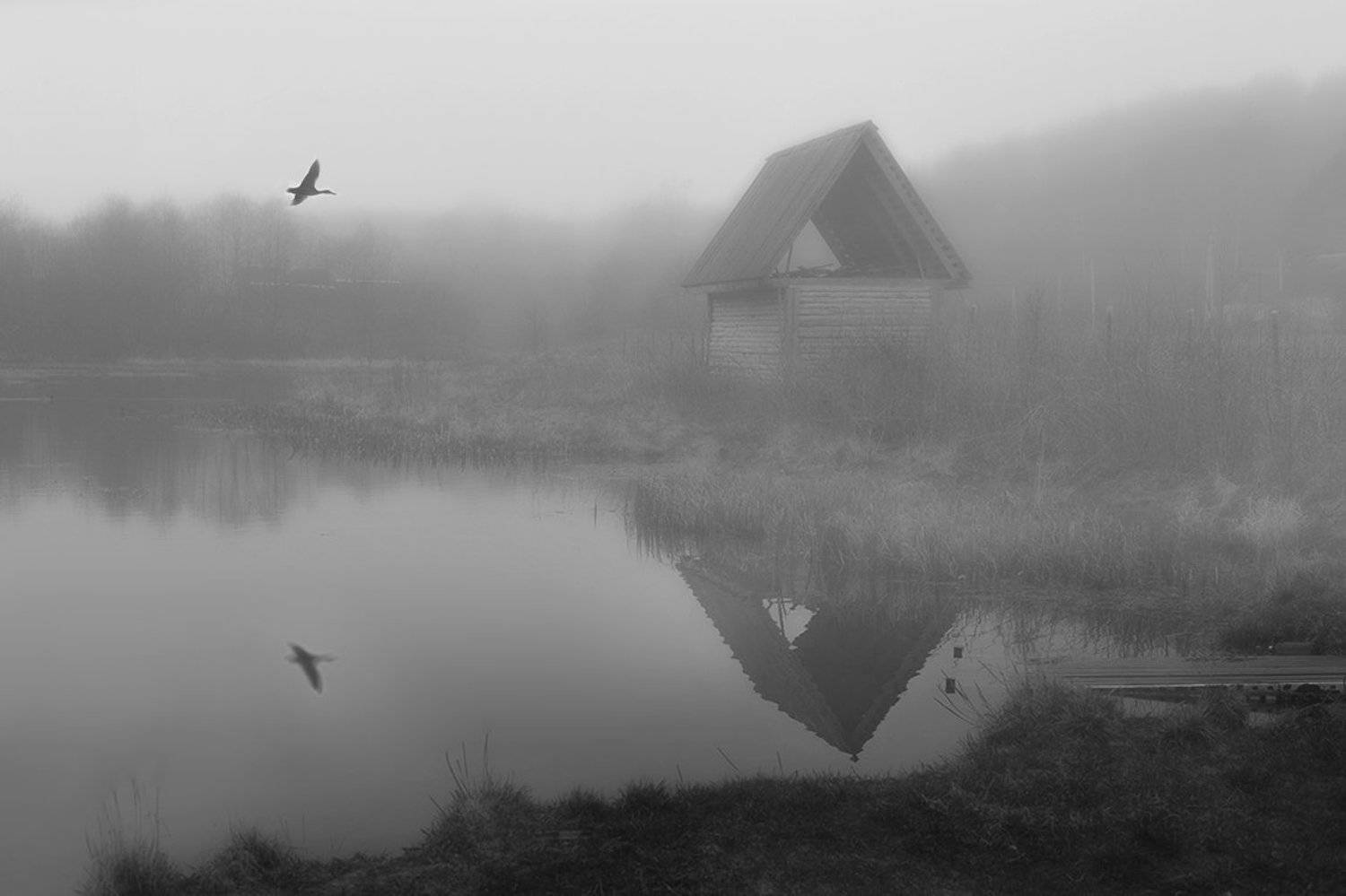 , Анна Кудрявцева